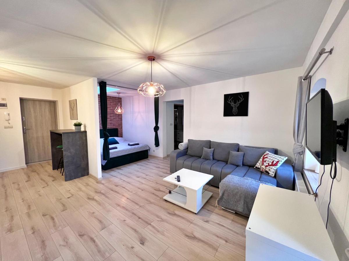 Apartament W Samym Centrum Jeleniej Gory Еленя-Гура Экстерьер фото