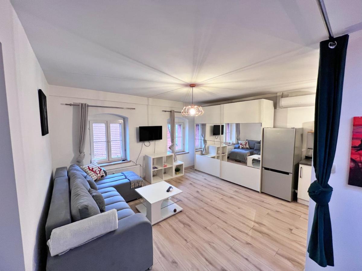 Apartament W Samym Centrum Jeleniej Gory Еленя-Гура Экстерьер фото